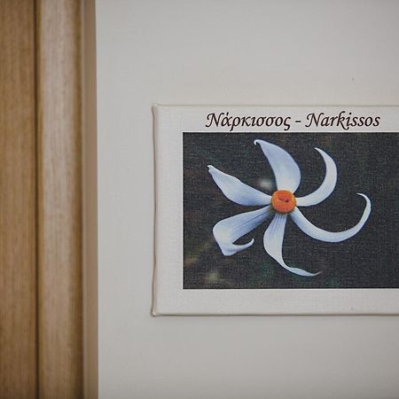 Z Boutique Hotel Πάνορμος Δωμάτιο φωτογραφία